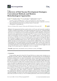 A Review of Fish Vaccine Development Strategies: Conventional Methods and Modern Biotechnological Approaches