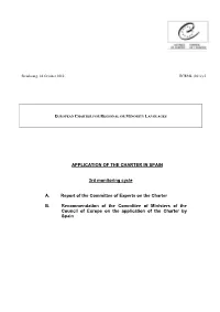 APPLICATION of the CHARTER in SPAIN 3Rd Monitoring Cycle A