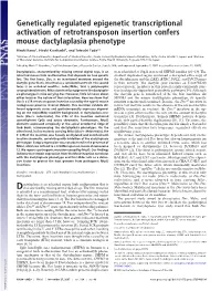 Genetically Regulated Epigenetic Transcriptional Activation of Retrotransposon Insertion Confers Mouse Dactylaplasia Phenotype