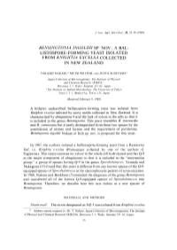 In 1987, the Authors Isolated a Ballistospore-Forming Yeast from a Rewarewa Leaf, I.E