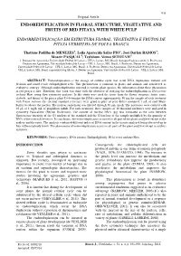 Endoreduplication in Floral Structure, Vegetative and Fruits of Red Pitaya with White Pulp