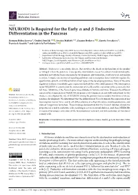 NEUROD1 Is Required for the Early and Endocrine Differentiation in The