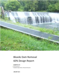 Bloede Dam Removal 60% Design Report