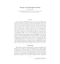 Estrogen Actions Throughout the Brain