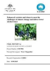 Final Report Guidelines