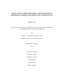 Simulation of Tree Stem Injury, Air Flow and Heat Dispersion in Forests for Prediction of Fire Effects