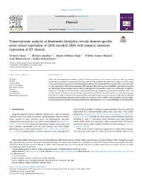 Transcriptomic Analysis of Entamoeba Histolytica Reveals Domain-Specific Sense Strand Expression of LINE-Encoded Orfs with Massive Antisense Expression of RT Domain