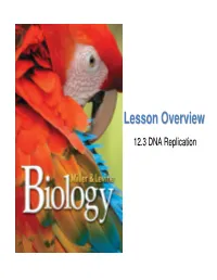 12.3 DNA Replication Lesson Overview DNA Replication