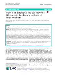 Analyses of Histological and Transcriptome Differences in the Skin