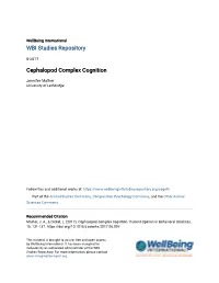 Cephalopod Complex Cognition