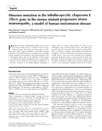 Missense Mutation in the Tubulin-Specific Chaperone E (Tbce