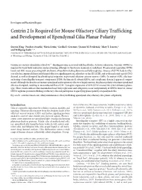 Centrin 2 Is Required for Mouse Olfactory Ciliary Trafficking and Development of Ependymal Cilia Planar Polarity