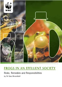 FROGS in an EFFLUENT SOCIETY Risks, Remedies and Responsibilities by Dr Sara Broomhall First Published in June 2004 by WWF Australia © WWF Australia 2004