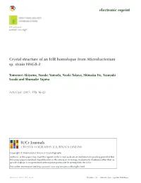 Electronic Reprint Crystal Structure of an Iclr Homologue From