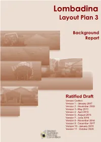 Lombadina LP3 Draft Version 11 Report