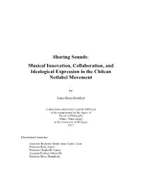 Musical Innovation, Collaboration, and Ideological Expression in the Chilean Netlabel Movement
