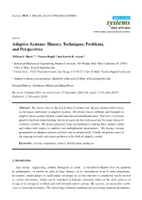 Adaptive Systems: History, Techniques, Problems, and Perspectives