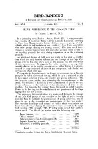 Group Adherence in the Common Tern •