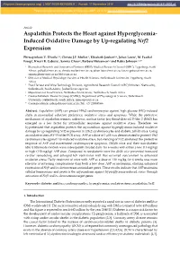 Induced Oxidative Damage by Up-Regulating Nrf2 Expression