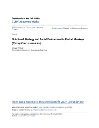 Nutritional Strategy and Social Environment in Redtail Monkeys (Cercopithecus Ascanius)