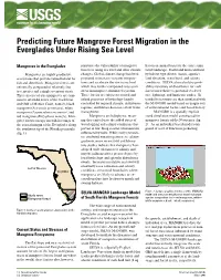 Predicting Future Mangrove Forest Migration in the Everglades Under Rising Sea Level