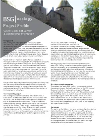 Project Profile Castell Coch: Bat Survey & Licence Implementation