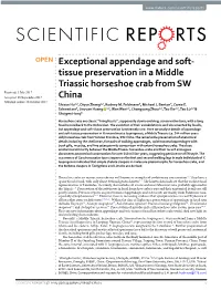Exceptional Appendage and Soft-Tissue Preservation in a Middle