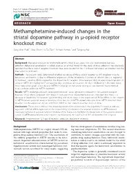 Methamphetamine-Induced Changes in the Striatal Dopamine Pathway In