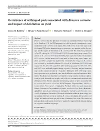 Occurrence of Arthropod Pests Associated with Brassica Carinata and Impact of Defoliation on Yield