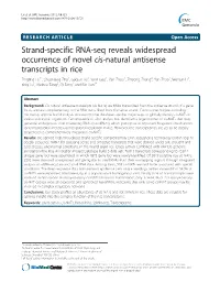 Strand-Specific RNA-Seq Reveals Widespread Occurrence of Novel Cis