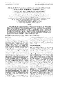 The Effect of Low Temperature on Growth and Development of Phalaenopsis