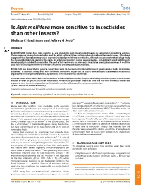 Is Apis Mellifera More Sensitive to Insecticides Than Other Insects?