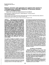 Primary Structure and Expression of a Gamete Lytic Enzyme In