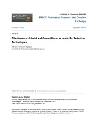 Effectiveness of Aerial and Ground-Based Acoustic Bat Detection Technologies