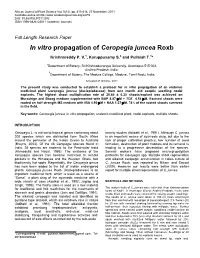 In Vitro Propagation of Ceropegia Juncea Roxb