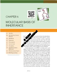 Molecular Basis of Inheritance