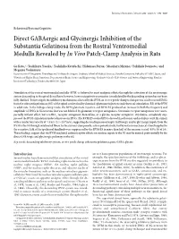 Direct Gabaergic and Glycinergic Inhibition of the Substantia Gelatinosa from the Rostral Ventromedial Medulla Revealed by in Vivo Patch-Clamp Analysis in Rats