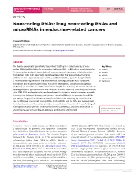 Long Non-Coding Rnas and Micrornas in Endocrine-Related Cancers