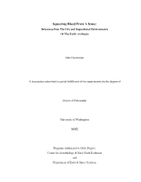 Squeezing Blood from a Stone: Inferences Into the Life and Depositional Environments of the Early Archaean