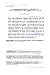 Conceptualizing Social Justice in Social Work: Are Social Workers “Too Bogged Down in the Trees?”