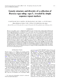 Genetic Structure and Diversity of a Collection of Brassica Rapa Subsp