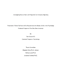 Investigating Neural Stem and Progenitor Cell Intracrine Signaling Presented in Partial Fulfilment of the Requirements the Maste