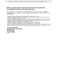 Kif9 Is an Active Kinesin Motor Required for Ciliary Beating and Proximodistal Patterning of Motile Axonemes