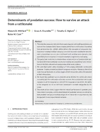 Determinants of Predation Success: How to Survive an Attack from a Rattlesnake