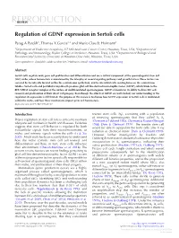 Regulation of GDNF Expression in Sertoli Cells