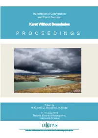 Karst Without Boundaries Proceedings