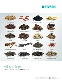 Milling of Spices with NETZSCH Impact Mills Condux