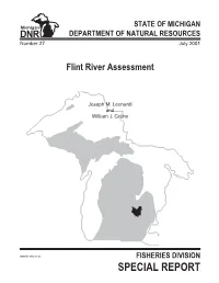 Flint River Assessment