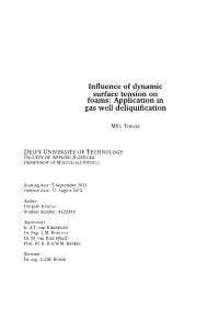 Influence of Dynamic Surface Tension on Foams: Application in Gas Well