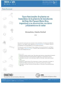 Tipos Funcionales De Plantas En Humedales De La Planicie De Inundación Del Bajo Río Paraná (Entre Ríos, Argentina) Y Su Observación Con Datos Polarimétricos De Radar
